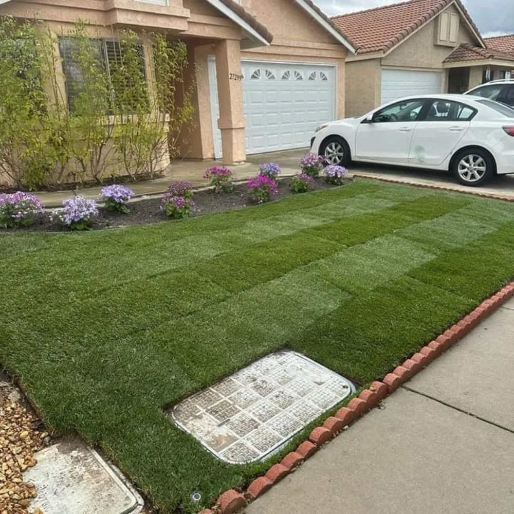 Local yard cleanup service experts serving Riverside, CA - Victor Landscaping