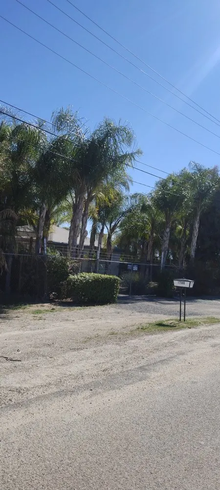 Custom landscape design in Riverside, CA - Victor Landscaping