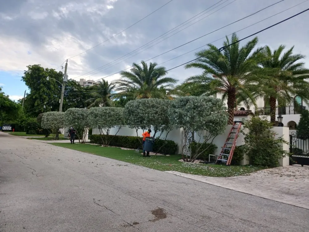 Reliable residential landscaping in Hollywood, FL by Victor Landscaping Services
