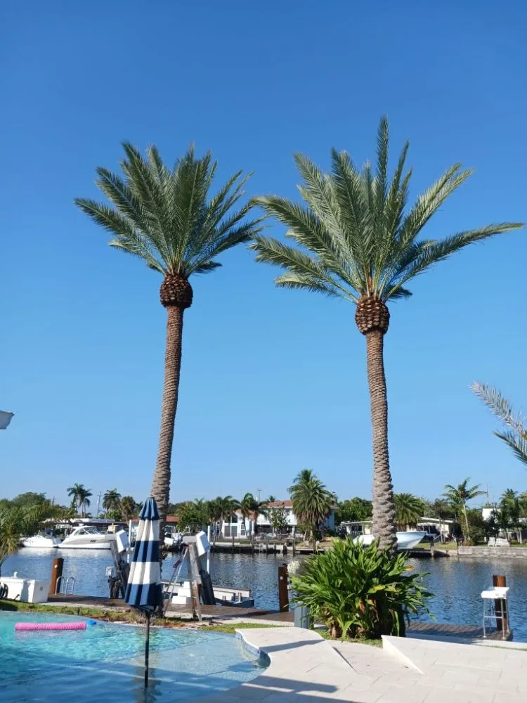 Professional yard maintenance for residential properties across Hollywood, FL - Victor Landscaping Services