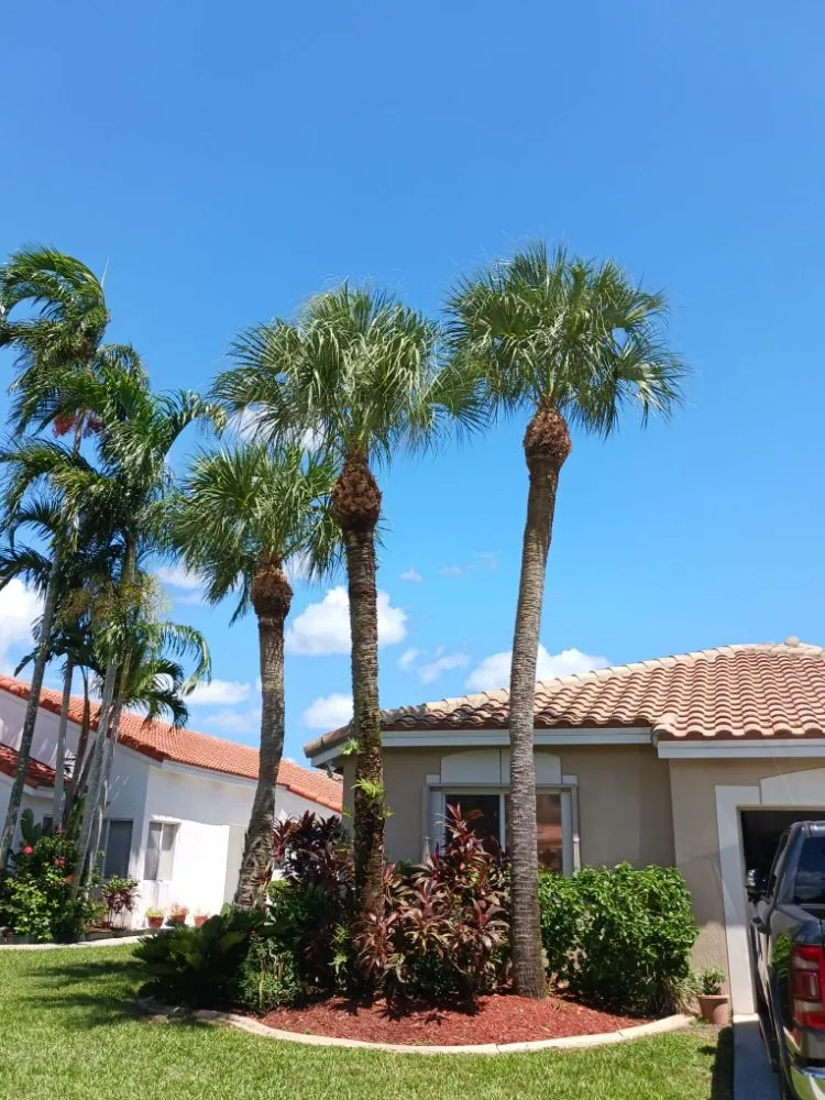 Affordable yard maintenance experts serving Hollywood, FL - Victor Landscaping Services