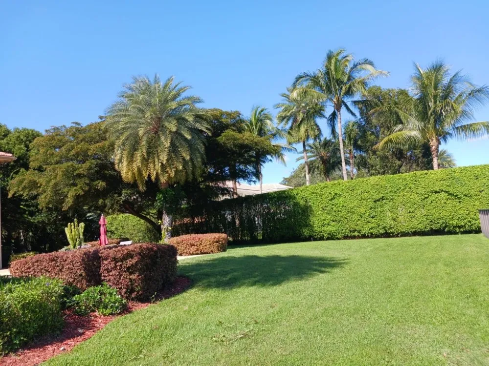 Custom landscape installation for homes across Hollywood, FL - Victor Landscaping Services