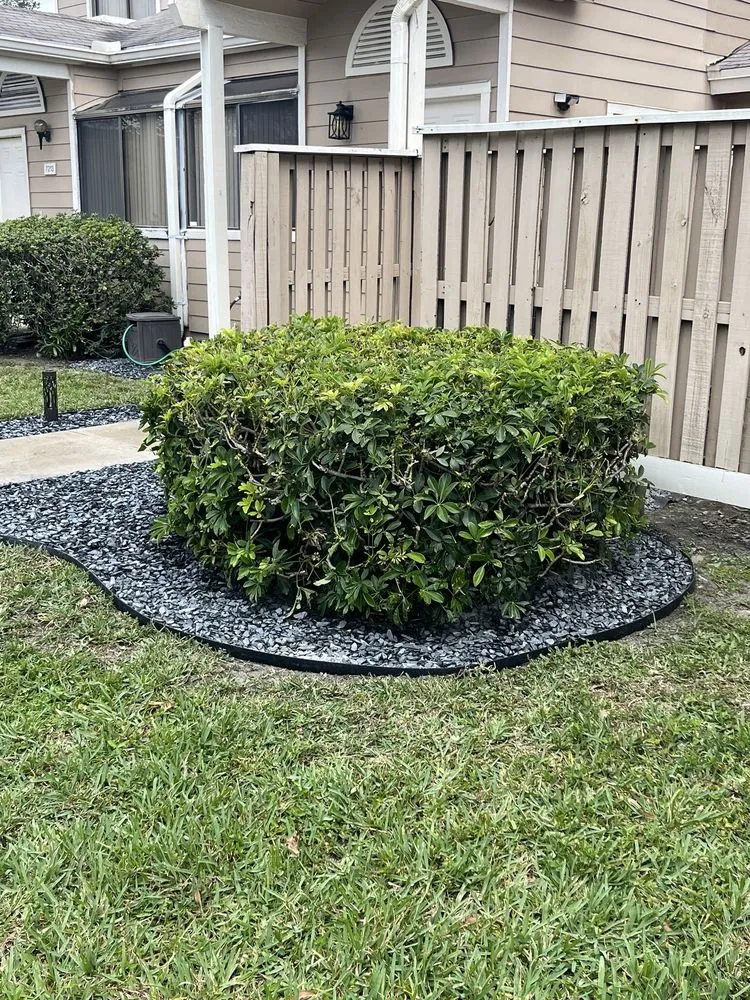 Trusted yard maintenance in Hollywood, FL - Victor Landscaping Services