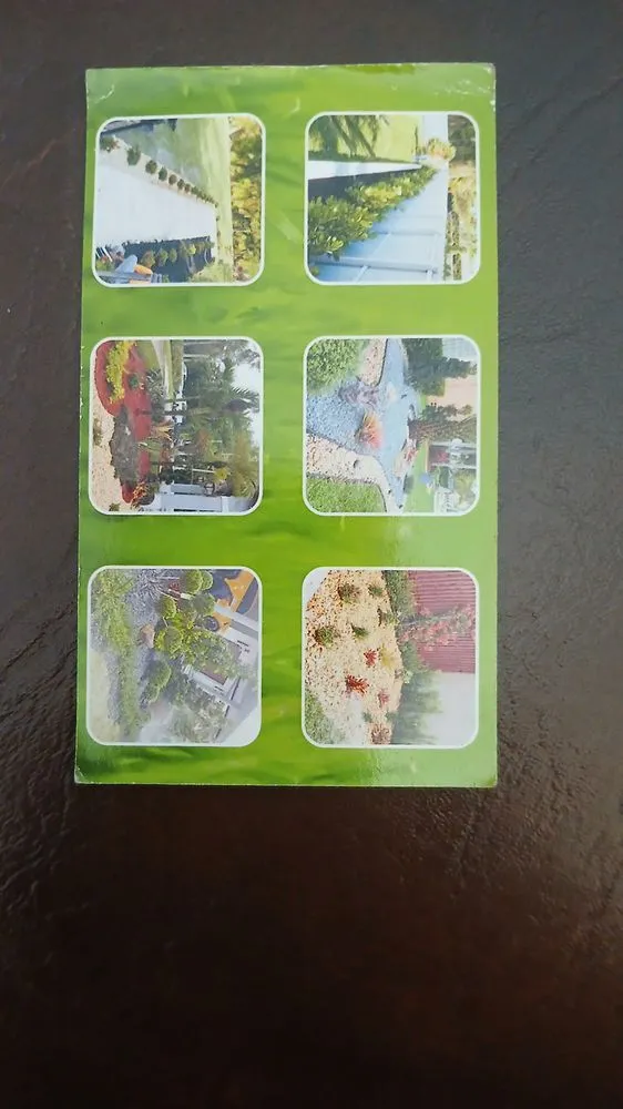 Reliable yard maintenance for residential properties across Hollywood, FL - Victor Landscaping Services