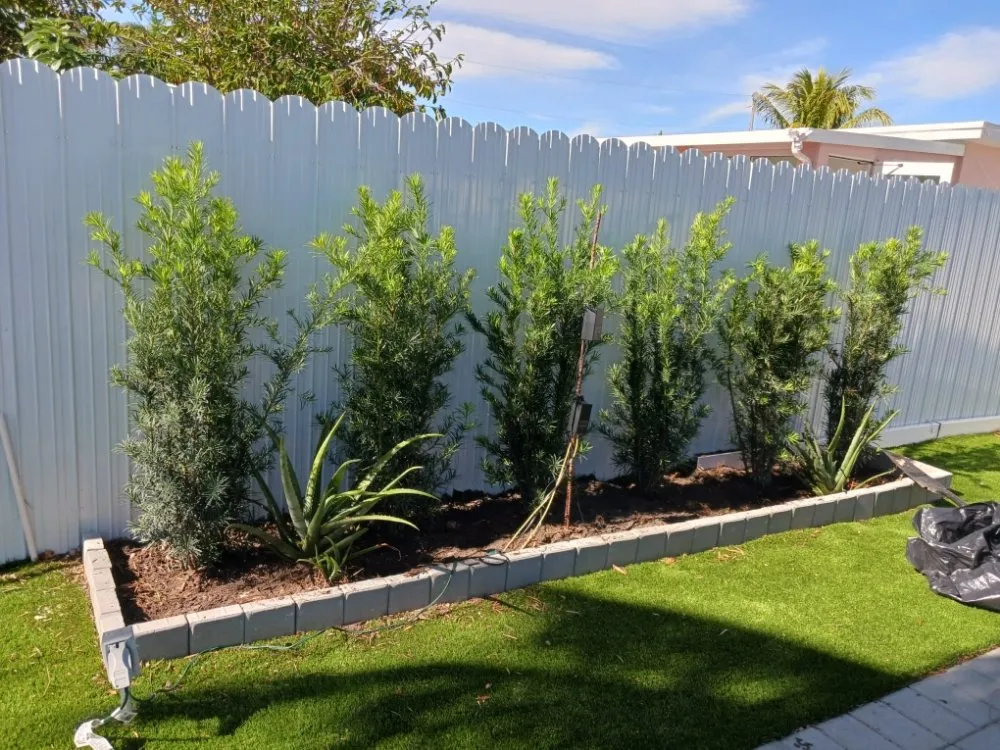 Reliable yard cleanup service for beautiful yards across Hollywood, FL - Victor Landscaping Services