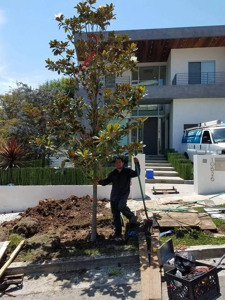 Local landscape installation experts serving Los Angeles, CA - Victor Landscaping Services