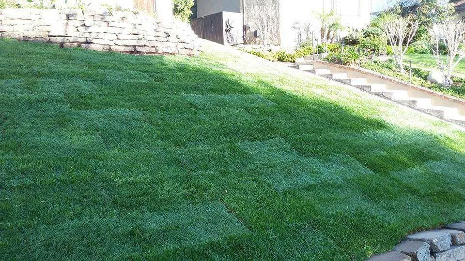 Custom landscape installation experts serving Los Angeles, CA - Victor Landscaping Services