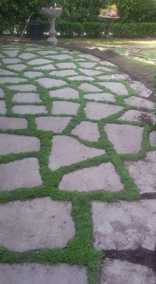 Affordable lawn care service for residential properties in Los Angeles, CA by Victor Landscaping Services