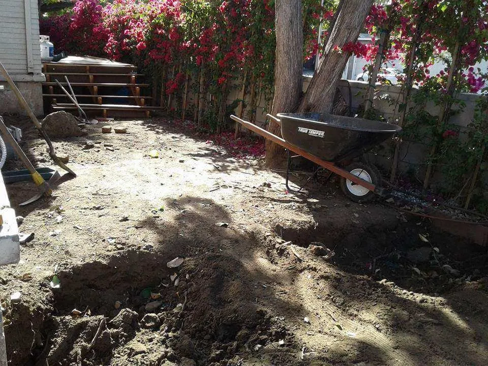 Professional lawn care service for year-round maintenance across Los Angeles, CA - Victor Landscaping Services