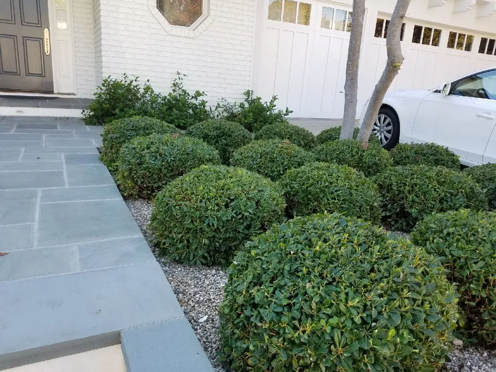 Expert landscape installation in Los Angeles, CA - Victor Landscaping Services