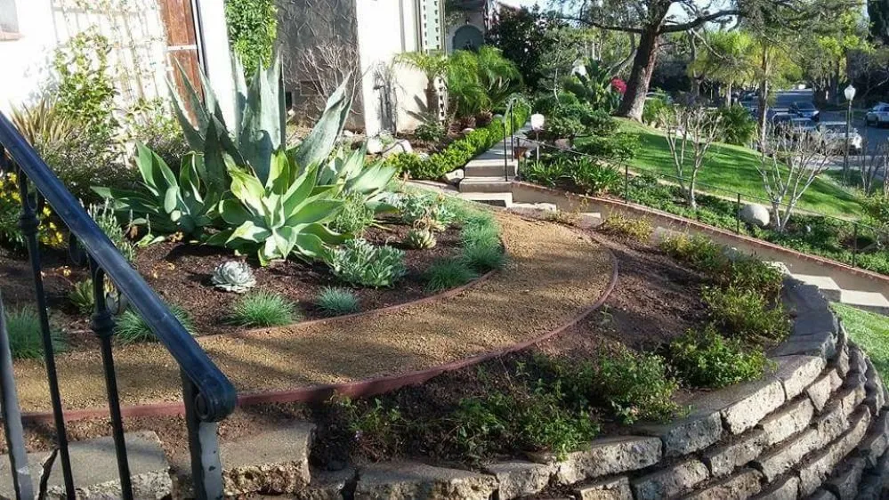 Trusted yard cleanup service in Los Angeles, CA - Victor Landscaping Services