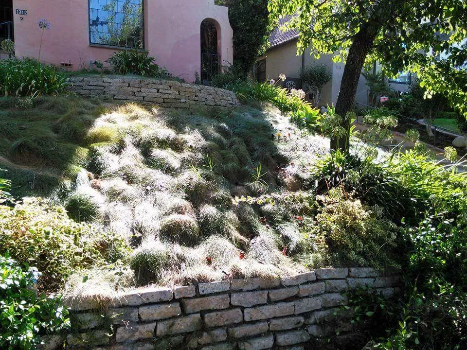 Top-rated residential landscaping in Los Angeles, CA - Victor Landscaping Services