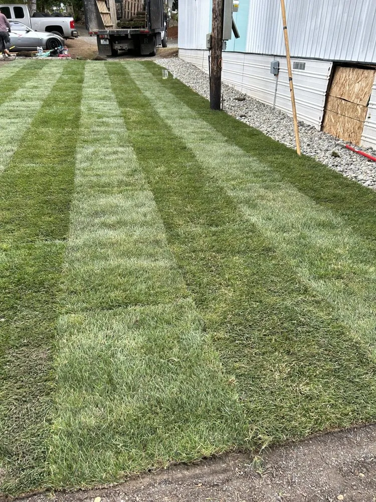 Local yard cleanup service in Shelton, WA by Victor Landscaping