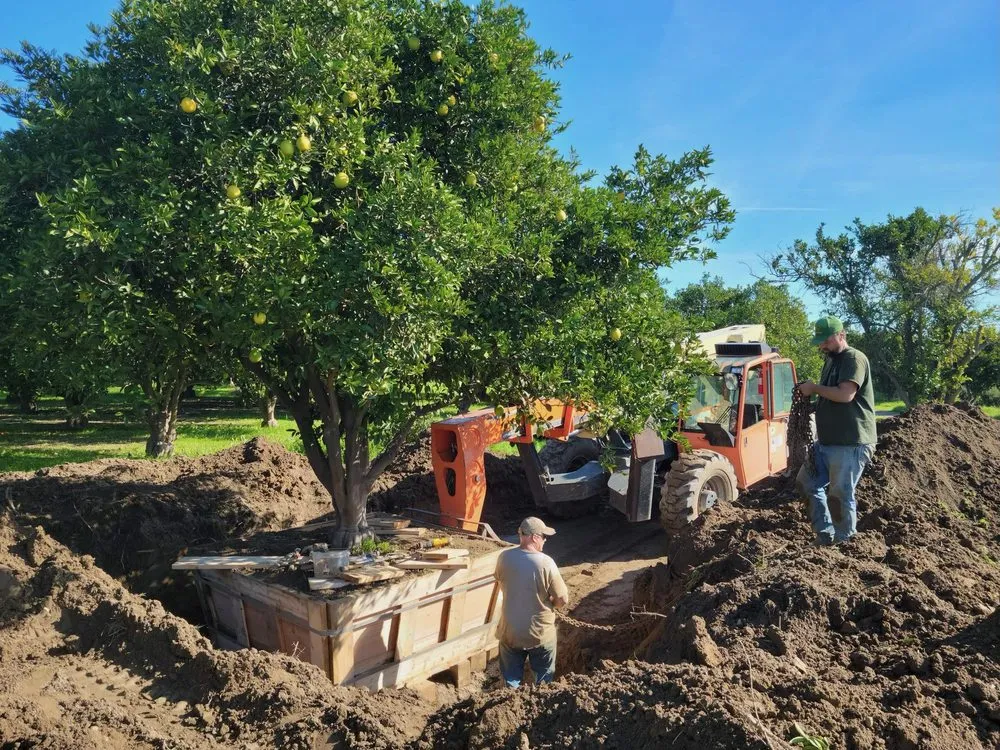 Top-rated yard maintenance in St Helena, CA - Victor Landscaping