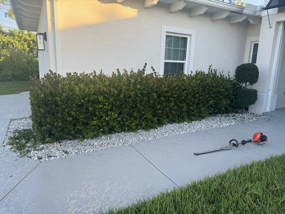 Local lawn mowing service for year-round maintenance across Port St. Lucie, FL - Victor Lawn Care