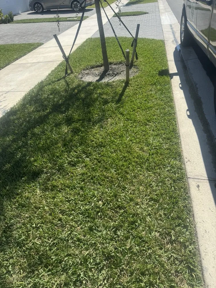 Top-rated lawn mowing service with custom design across Port St. Lucie, FL - Victor Lawn Care