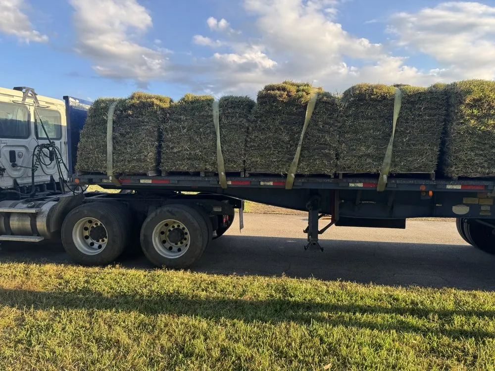 Reliable yard cleanup service for year-round maintenance across Port St. Lucie, FL - Victor Lawn Care