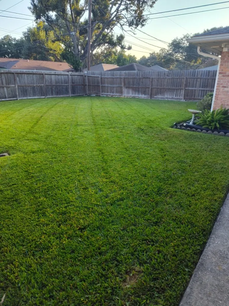 Top-rated landscape installation in Houston, TX by Victor Lawn Services