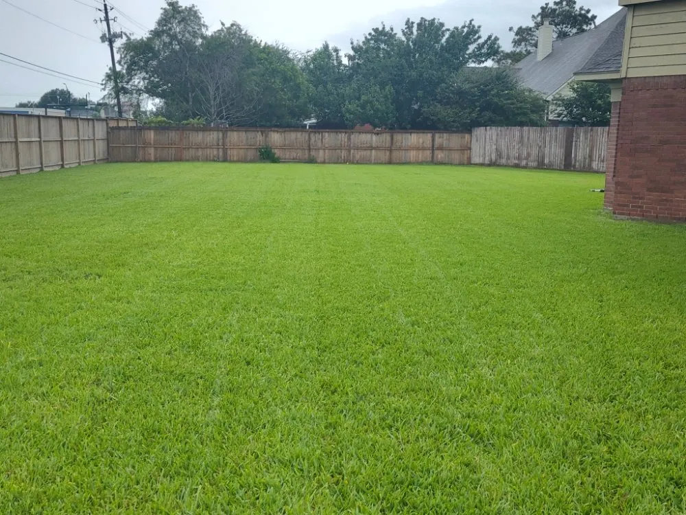 Expert residential landscaping for year-round maintenance in Houston, TX by Victor Lawn Services