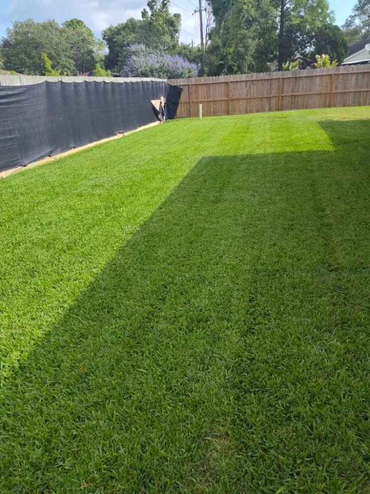 Affordable lawn mowing service experts serving Houston, TX - Victor Lawn Services