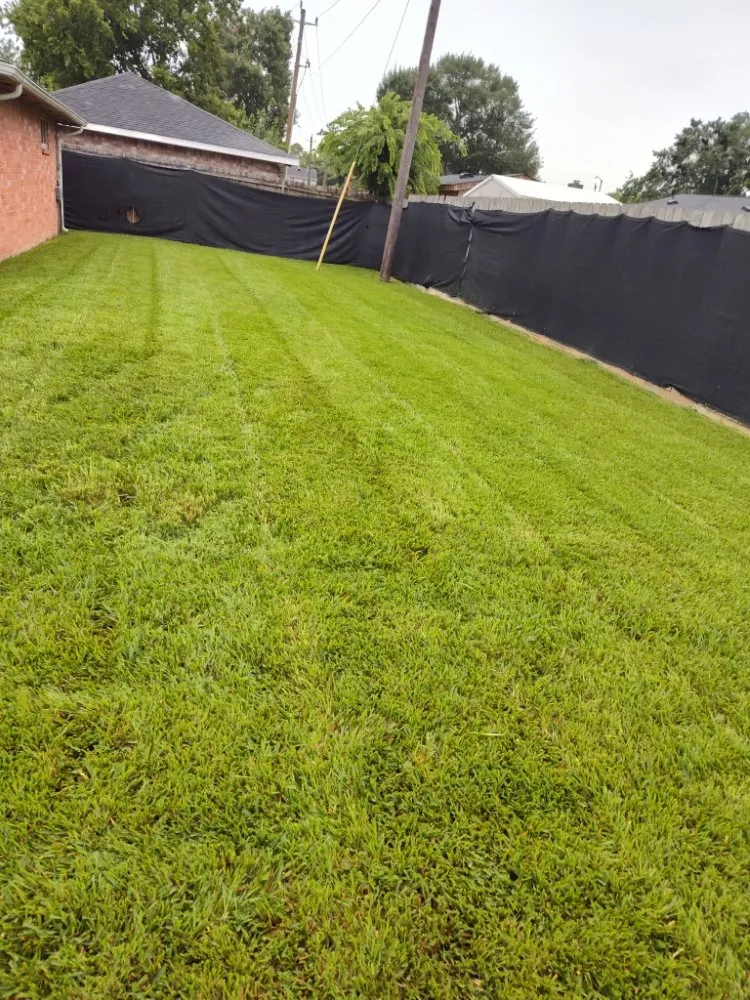 Top-rated landscape installation for outdoor upgrades across Houston, TX - Victor Lawn Services