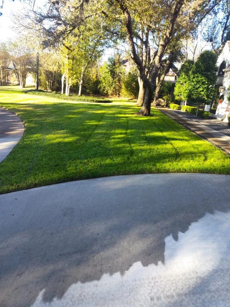 Affordable residential landscaping experts serving Houston, TX - Victor Lawn Services