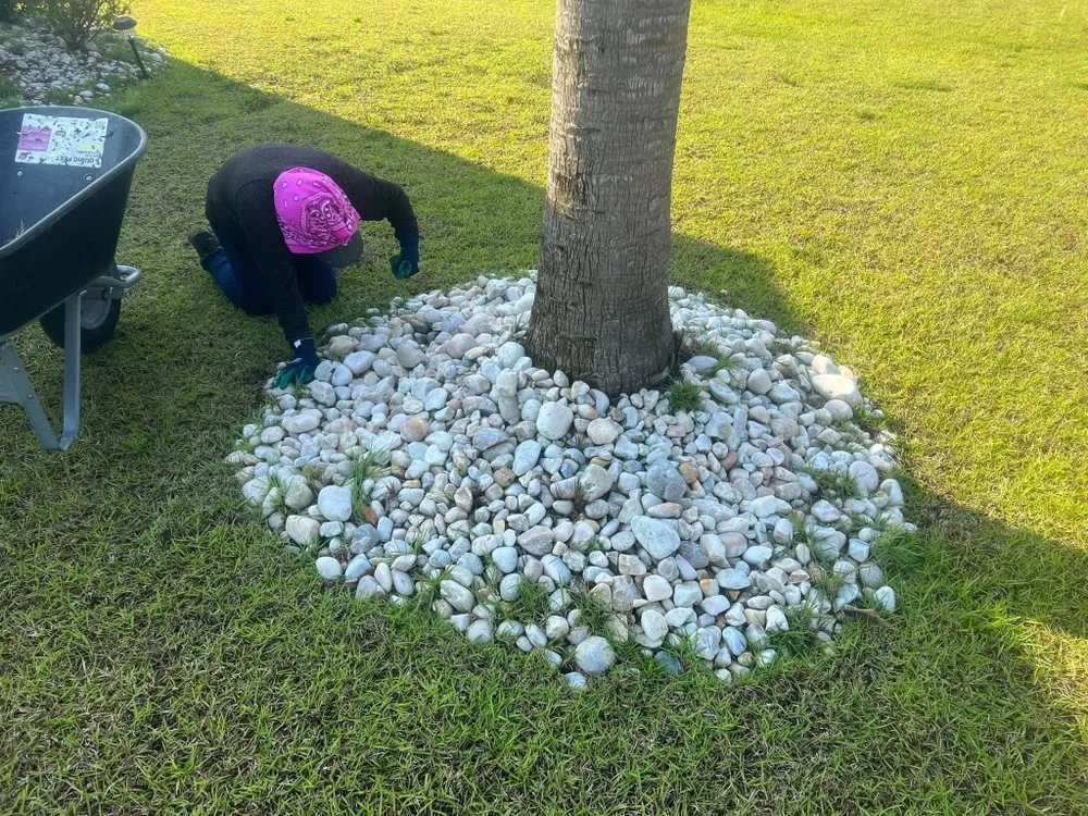 Trusted yard cleanup service in Galivants Ferry, SC by Victor The Handyman