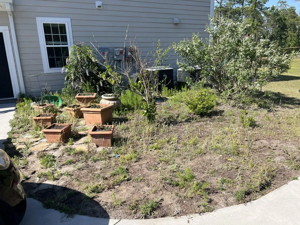 Expert landscape installation experts serving Galivants Ferry, SC - Victor The Handyman