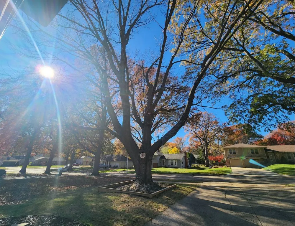 Trusted lawn mowing service in Kansas City, MO - Victor Tree Service
