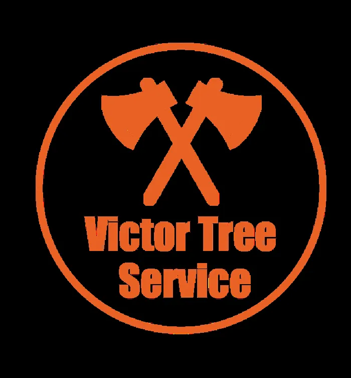 Top-rated residential landscaping experts serving Kansas City, MO - Victor Tree Service