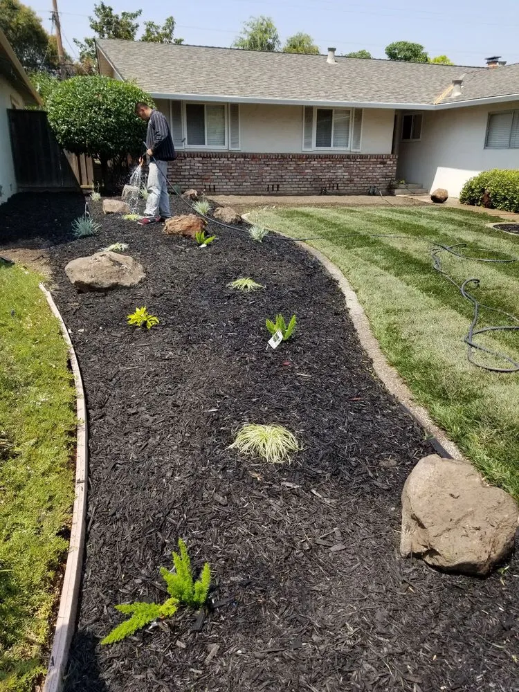 Trusted landscape design in San Jose, CA - Victor Trejo Gardening