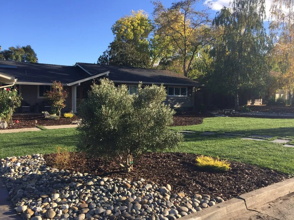 Affordable lawn care service for beautiful yards in San Jose, CA by Victor Trejo Gardening