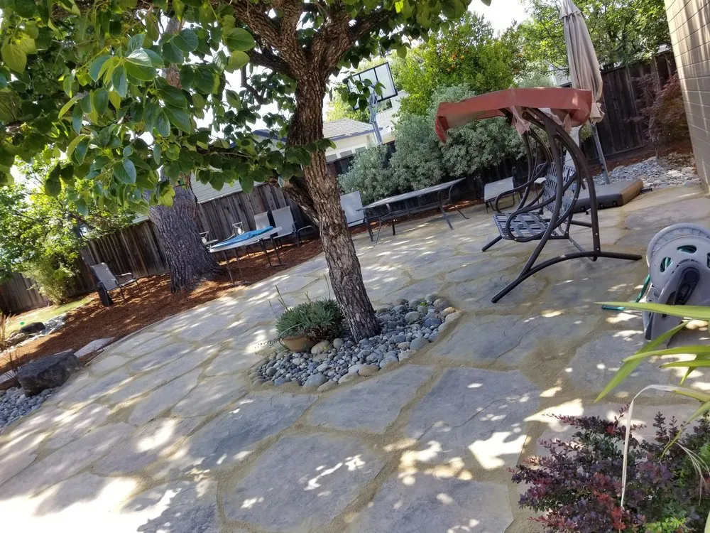 Professional yard cleanup service in San Jose, CA by Victor Trejo Gardening