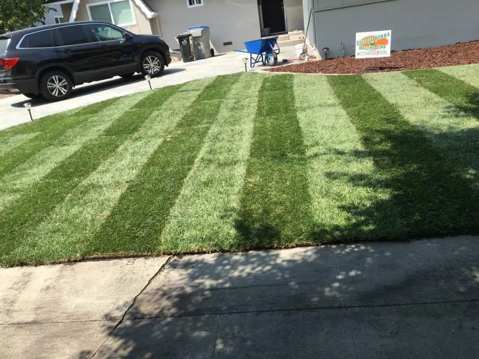 Local garden landscaping experts serving San Jose, CA - Victor Trejo Gardening