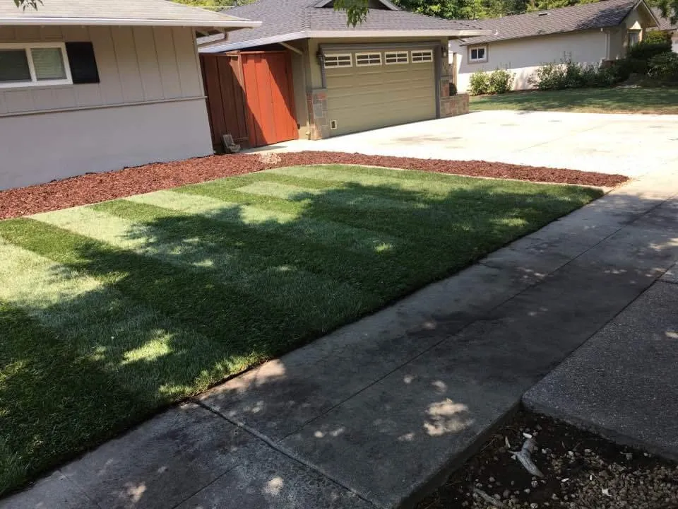 Professional outdoor landscaping experts serving San Jose, CA - Victor Trejo Gardening