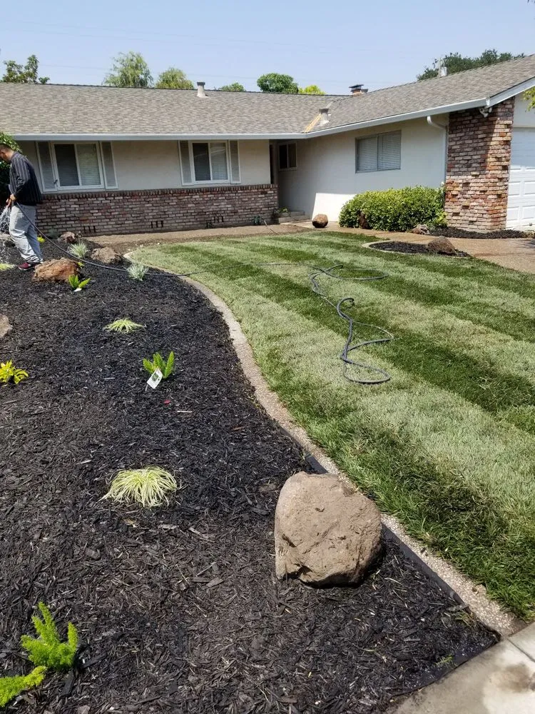 Trusted residential landscaping for residential properties in San Jose, CA by Victor Trejo Gardening