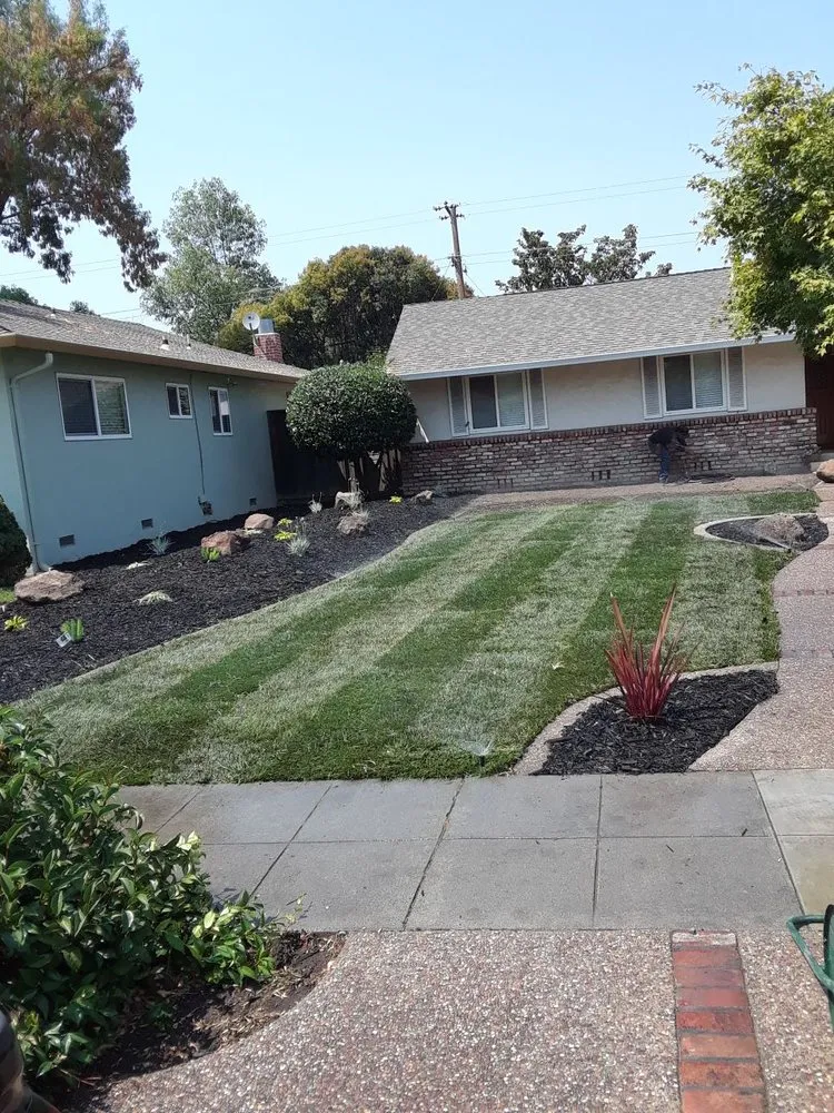 Professional landscape installation for outdoor upgrades in San Jose, CA by Victor Trejo Gardening
