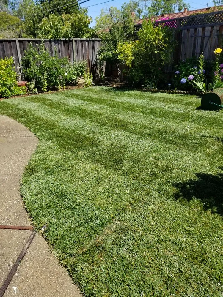 Expert landscape design in San Jose, CA by Victor Trejo Gardening