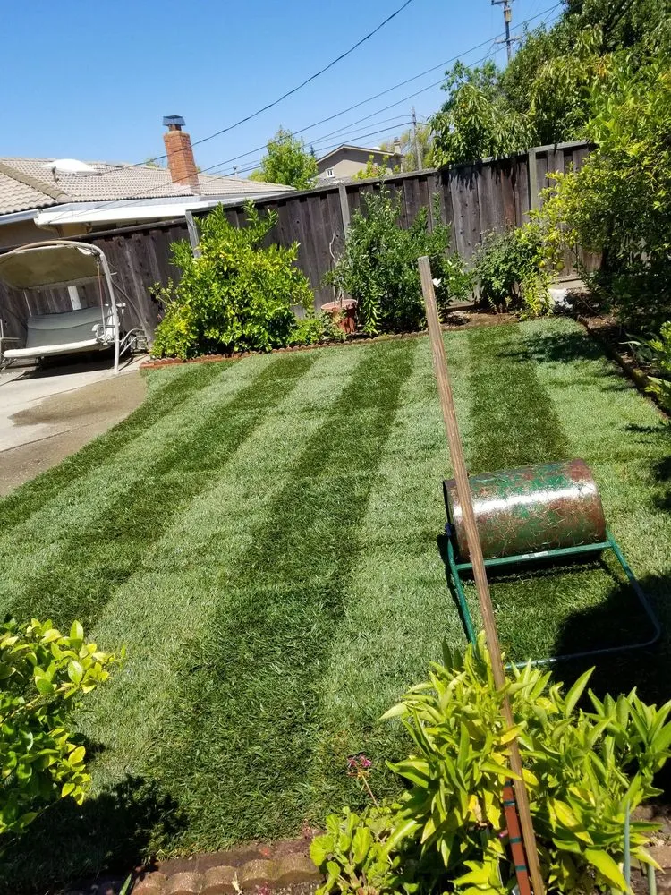 Affordable landscape installation with custom design in San Jose, CA by Victor Trejo Gardening