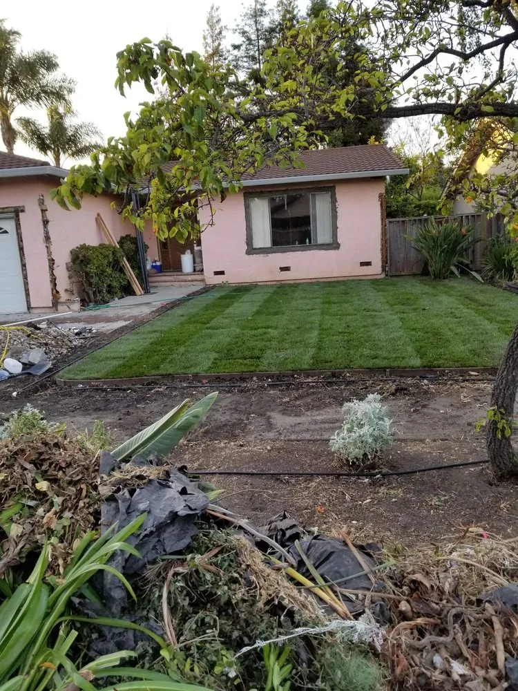 Local landscape design near you in San Jose, CA by Victor Trejo Gardening