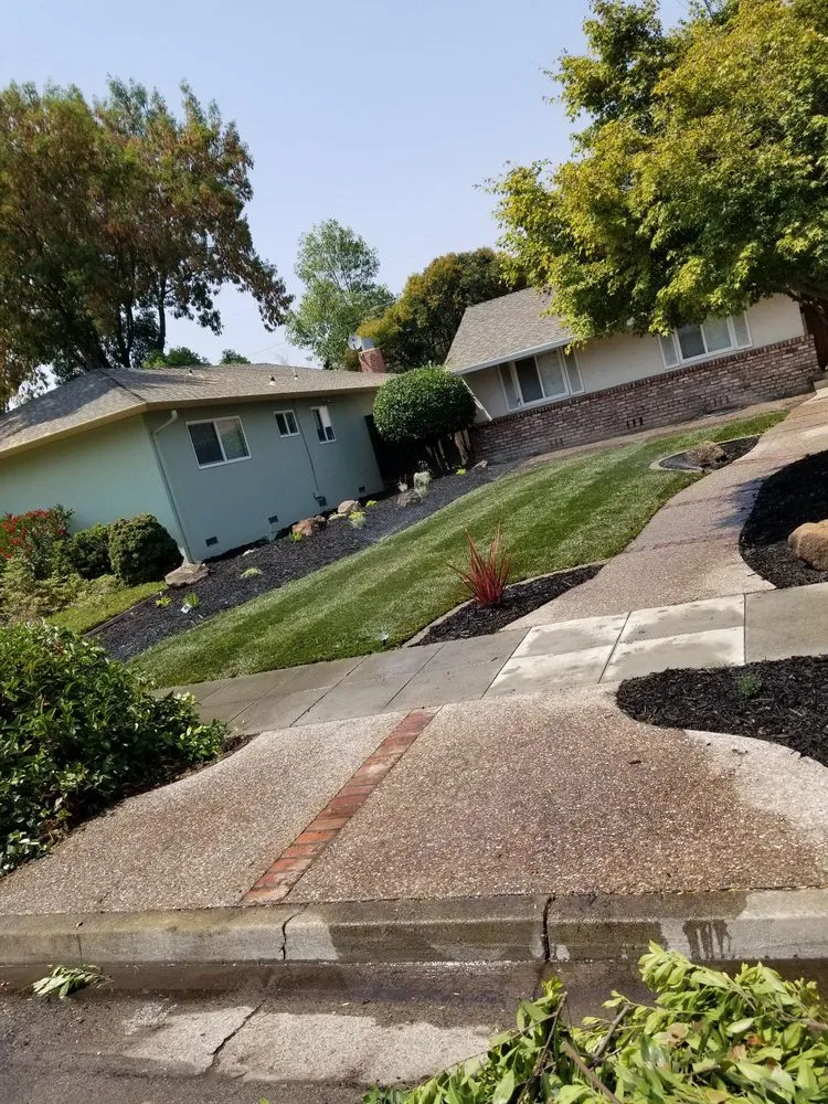 Expert outdoor landscaping for beautiful yards across San Jose, CA - Victor Trejo Gardening