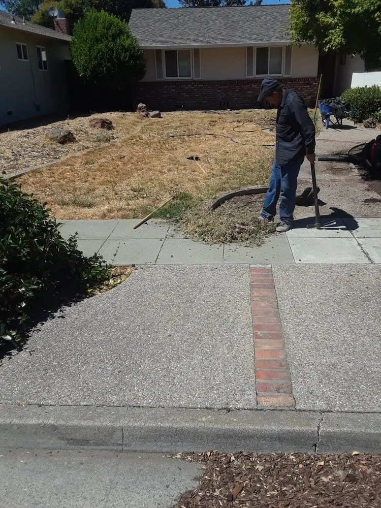 Custom lawn care service for beautiful yards across San Jose, CA - Victor Trejo Gardening