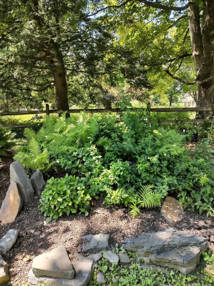 Professional yard maintenance for beautiful yards in Rosendale, NY by Victoria Gardens