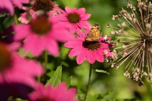 Custom landscape installation in Rosendale, NY by Victoria Gardens