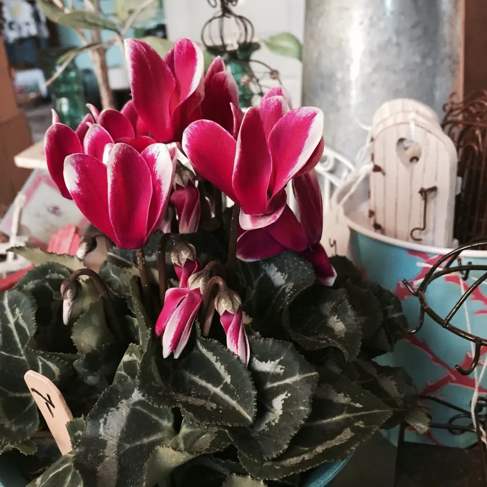 Local landscape design for year-round maintenance in Rosendale, NY by Victoria Gardens