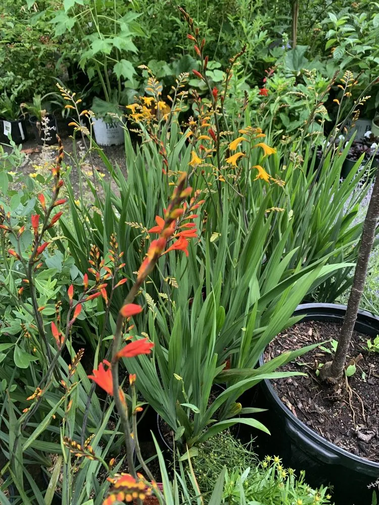 Trusted outdoor landscaping in Rosendale, NY by Victoria Gardens