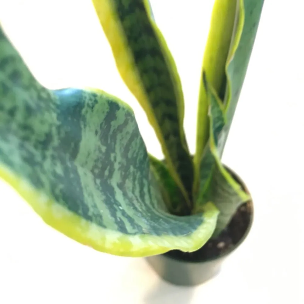 Reliable landscaping services with custom design across Rosendale, NY - Victoria Gardens