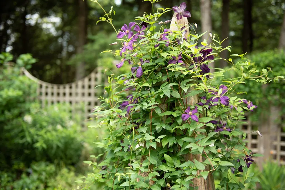 Trusted landscape installation in Rosendale, NY - Victoria Gardens