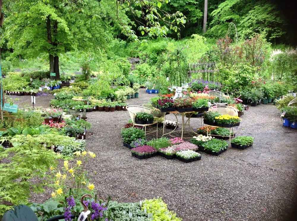 Affordable lawn mowing service experts serving Rosendale, NY - Victoria Gardens