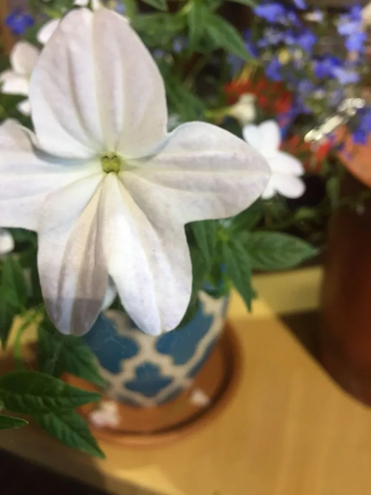 Top-rated landscape design in Rosendale, NY by Victoria Gardens